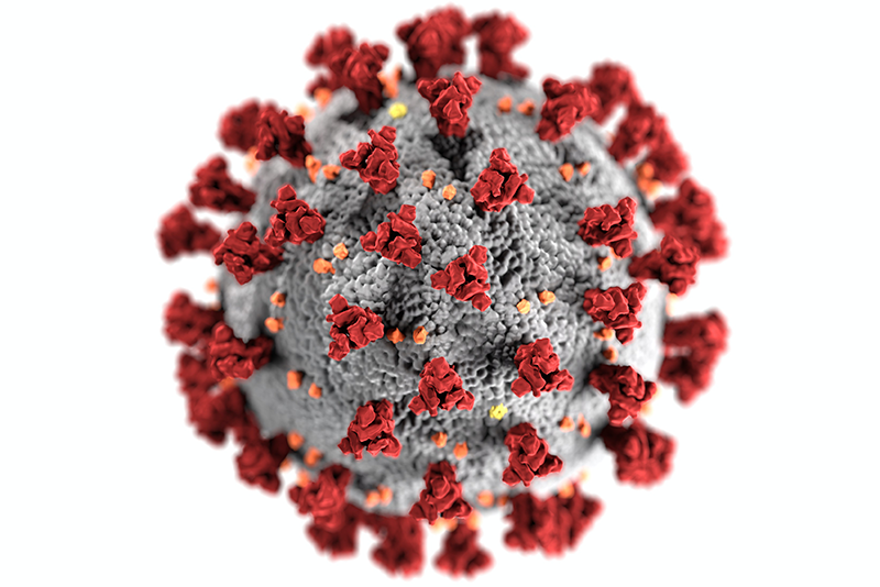 mental-health-foundation-blog-post-covid-19-and-mental-health-cdc-image-of-covid-virus