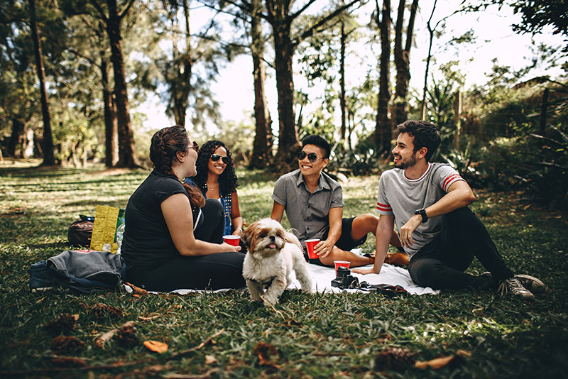 mental-health-foundation-articles-world-mental-health-day-image-of-friends-having-a-picnic